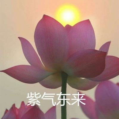 择天情缘百度版手游下载